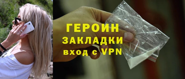 индика Няндома