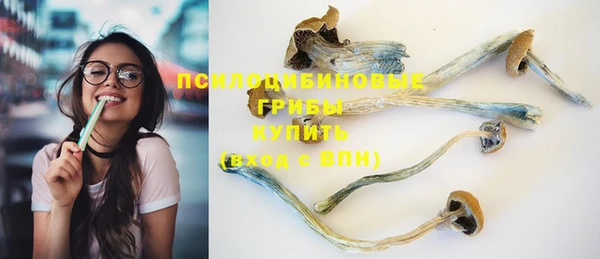 mix Осинники