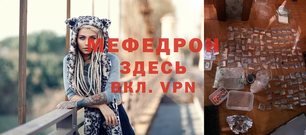 индика Няндома